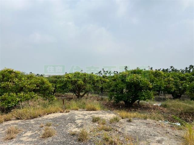 屏東農地-2