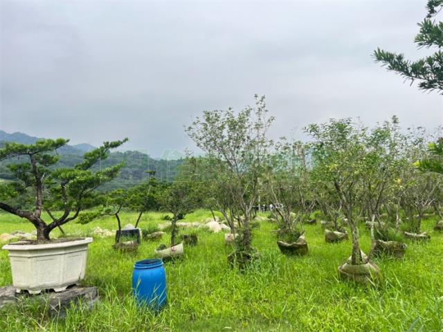 屏東農地-1