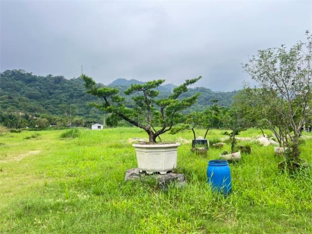 屏東農地-2