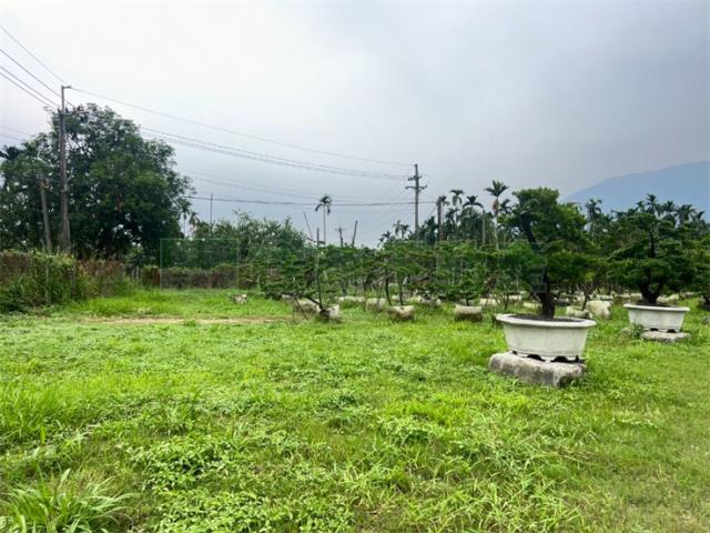 屏東農地-3