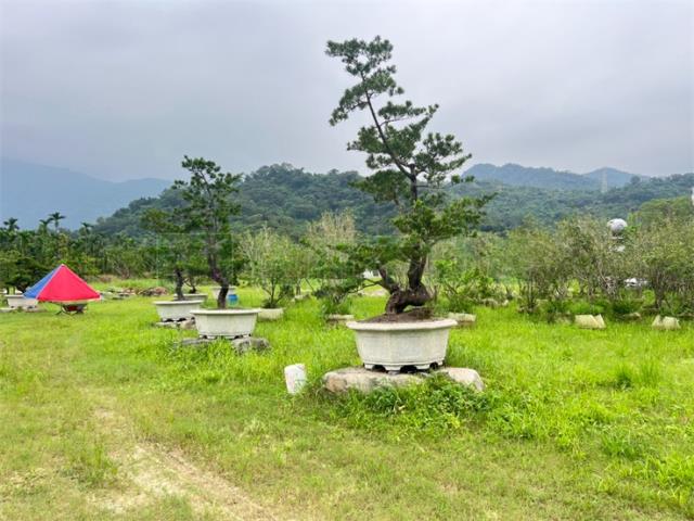 屏東農地-4