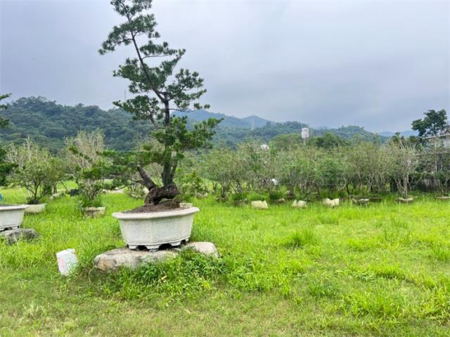 屏東農地-5