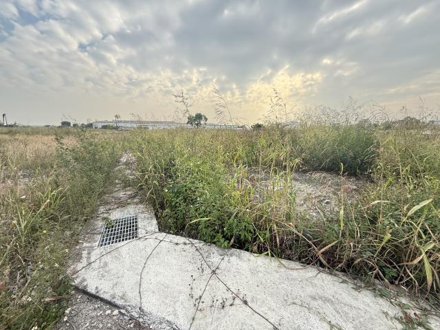 屏東市建地-13