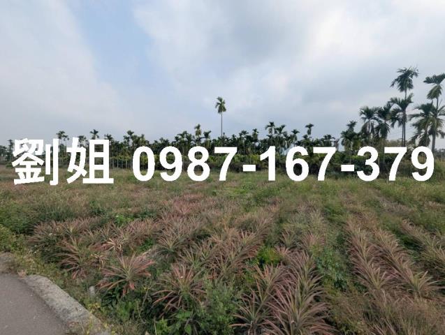 潮州農地-1
