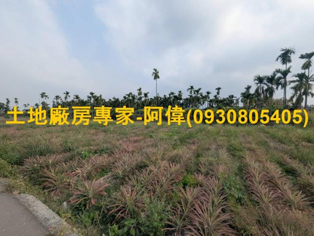 潮州農地-0