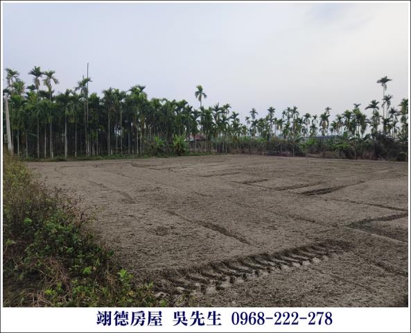 麟洛農地-6