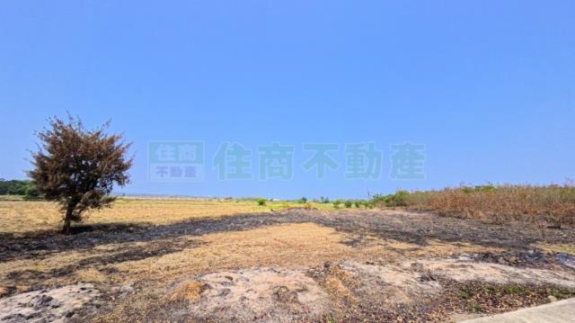 屏東農地-2
