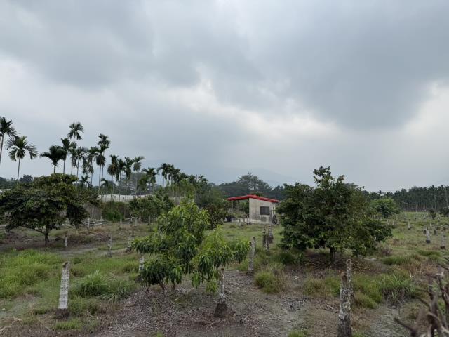 屏東鹽埔農地-3