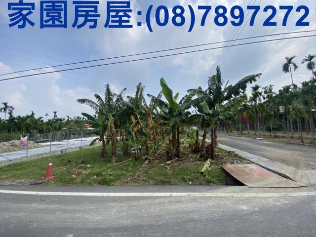 內埔農地-1