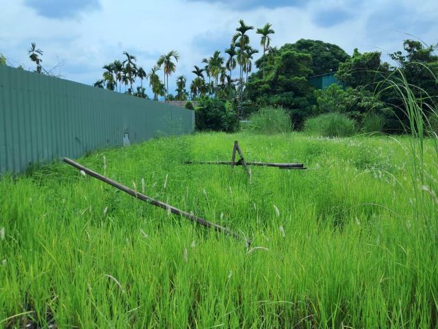 萬巒農地-10