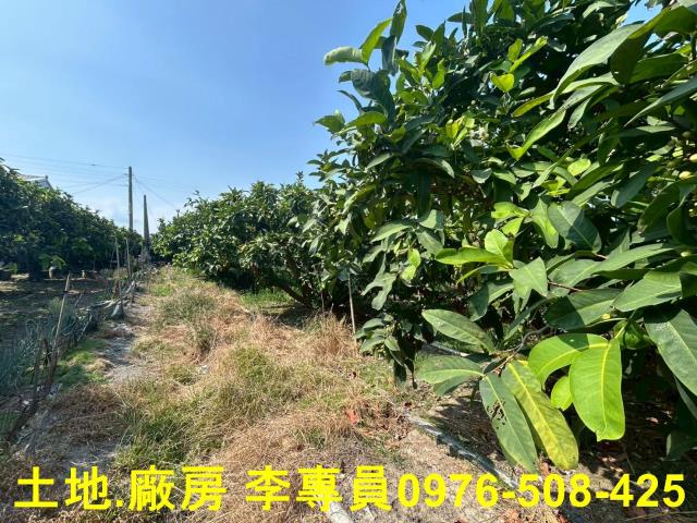 屏東農地-4