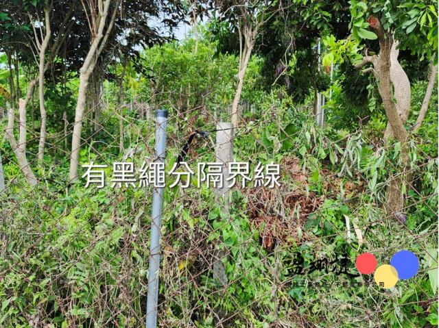 屏東農地-3
