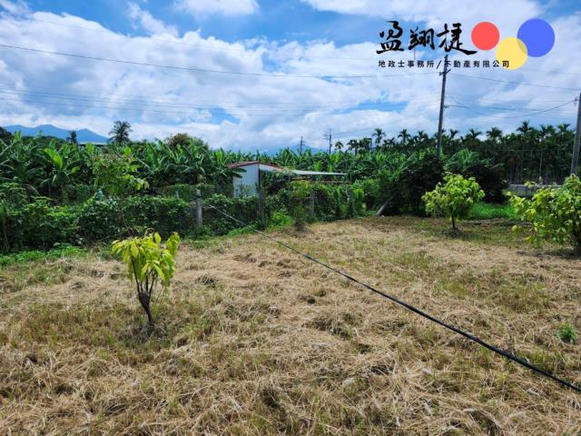 屏東農地-7