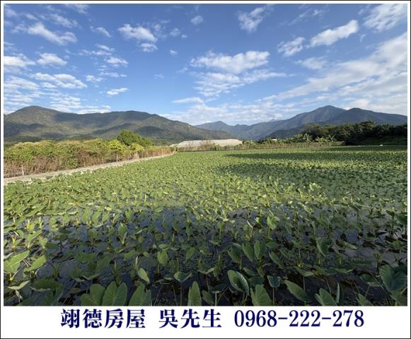 高樹農地-2