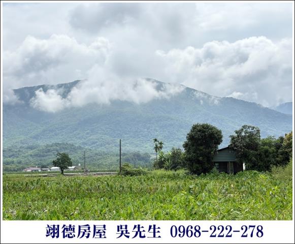 高樹農地-3